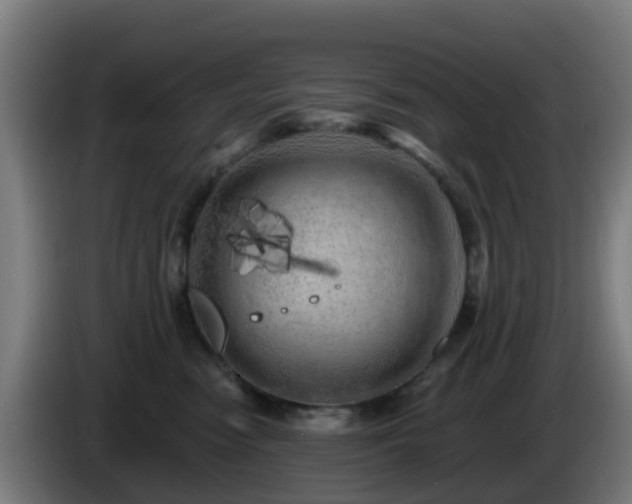 X0000086100474200703301218