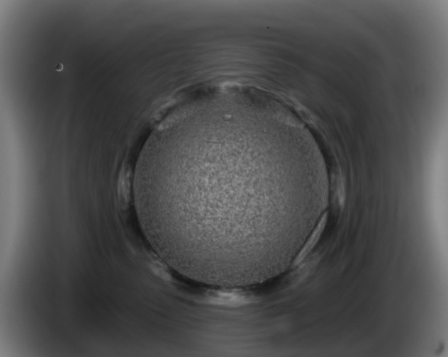 X0000086100475200703301218