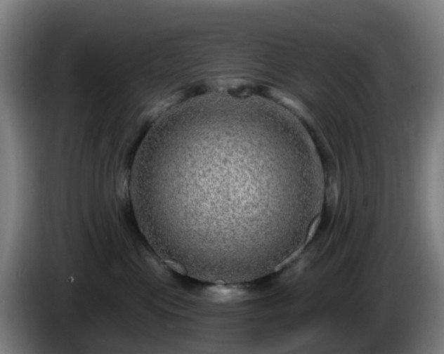 X0000086100477200703301219