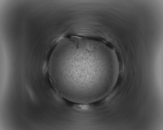 X0000086100478200703301219