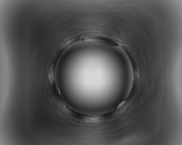 X0000086100479200703301219