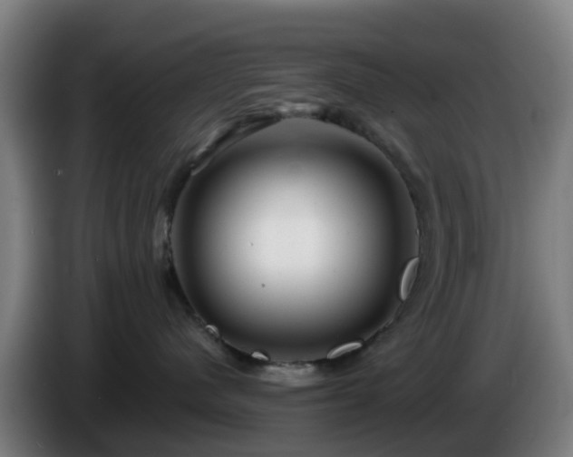 X0000086100480200703301219