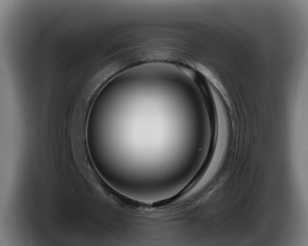 X0000086100481200703301218