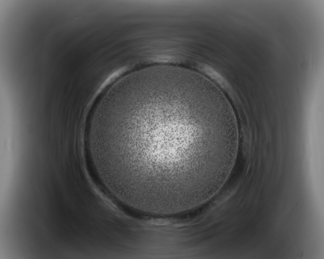 X0000086100482200703301218