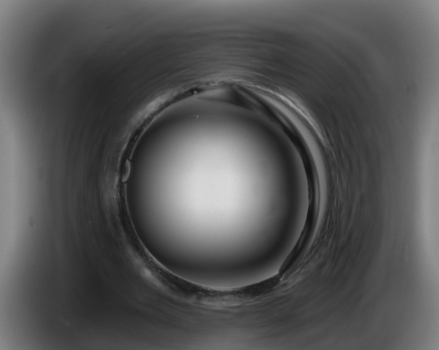 X0000086100485200703301218