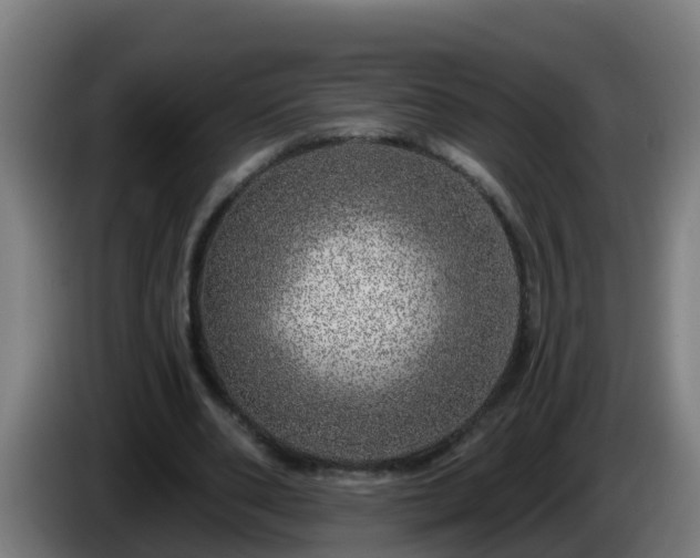 X0000086100486200703301218