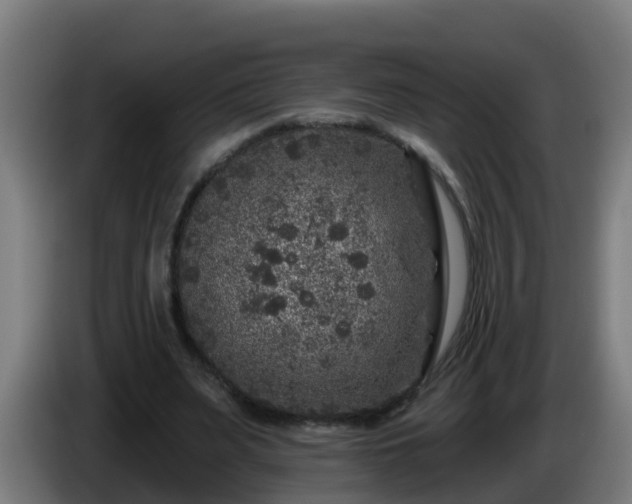 X0000086100487200703301218