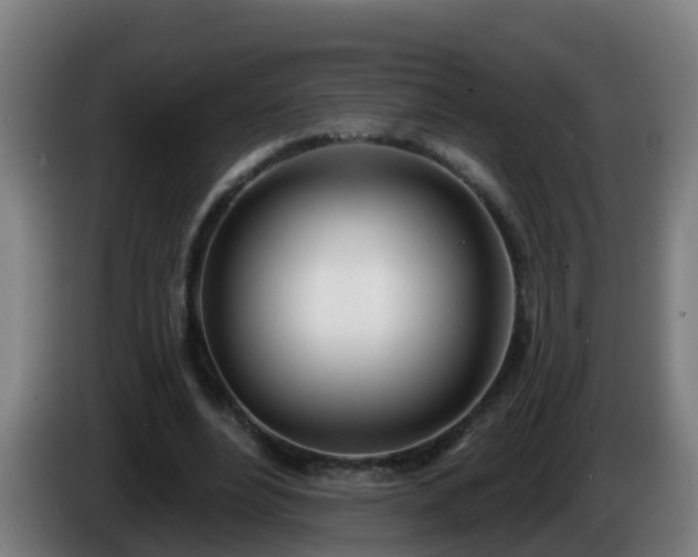 X0000086100488200703301218
