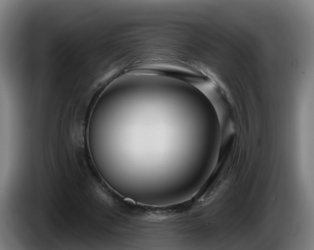 X0000086100489200703301218