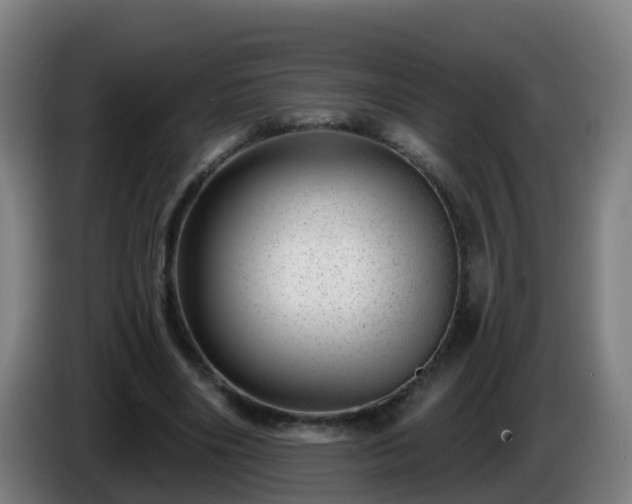 X0000086100490200703301218