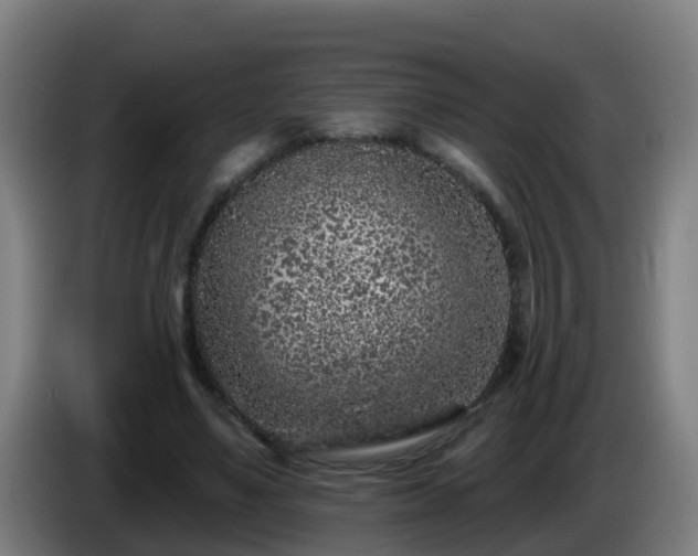 X0000086100491200703301218