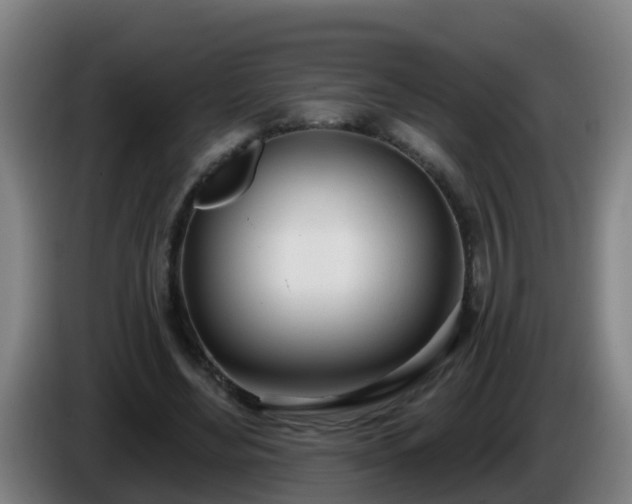 X0000086100492200703301218