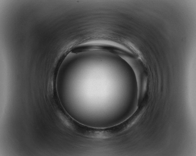 X0000086100493200703301218