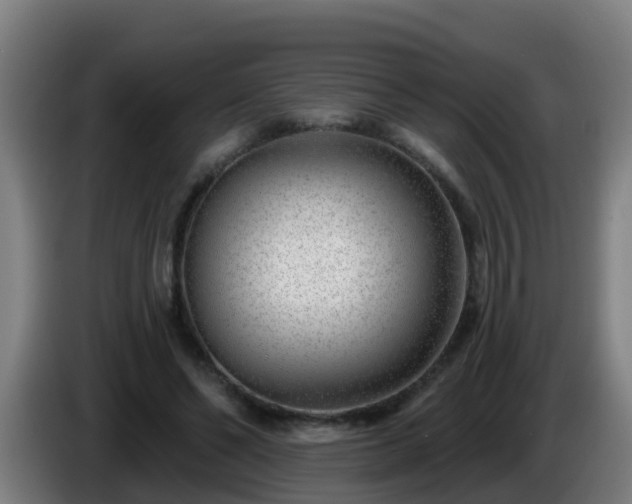 X0000086100494200703301218