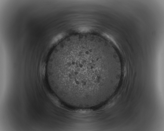 X0000086100495200703301218