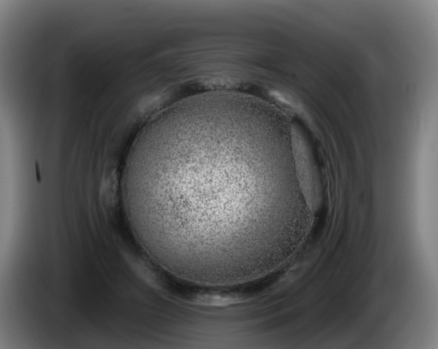 X0000086100498200703301218