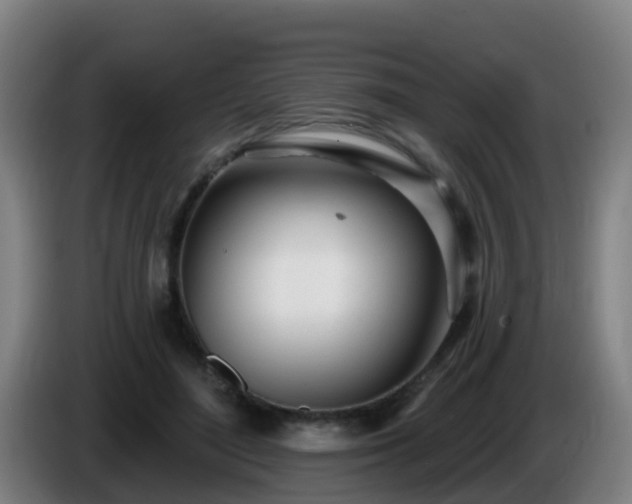 X0000086100500200703301218
