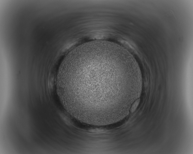 X0000086100503200703301218