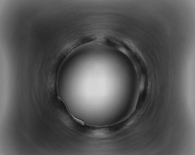 X0000086100505200703301218