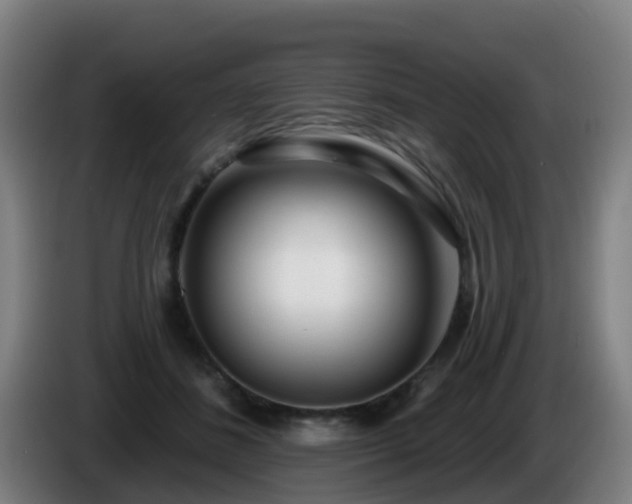 X0000086100508200703301217