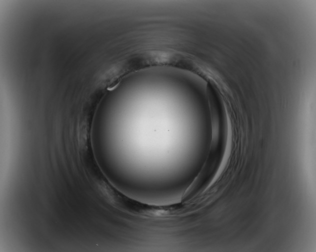 X0000086100509200703301217