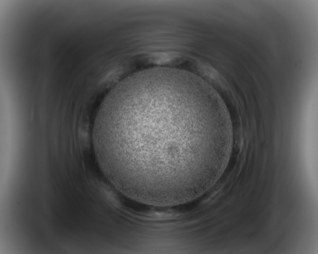 X0000086100510200703301217