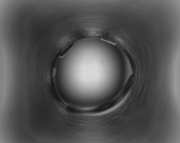 X0000086100512200703301217