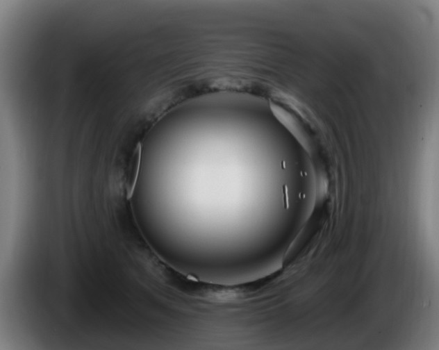 X0000086100513200703301217