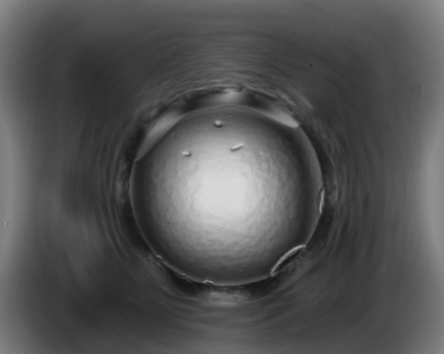X0000086100515200703301217