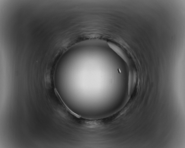 X0000086100516200703301217