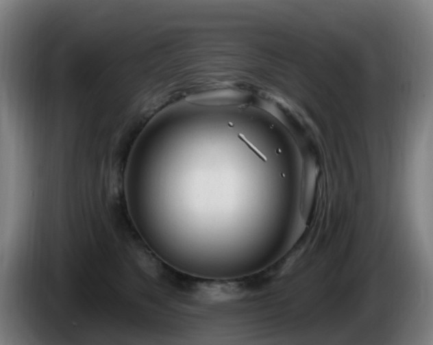 X0000086100517200703301217