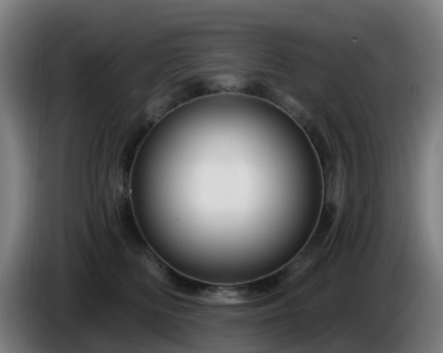 X0000086100518200703301217