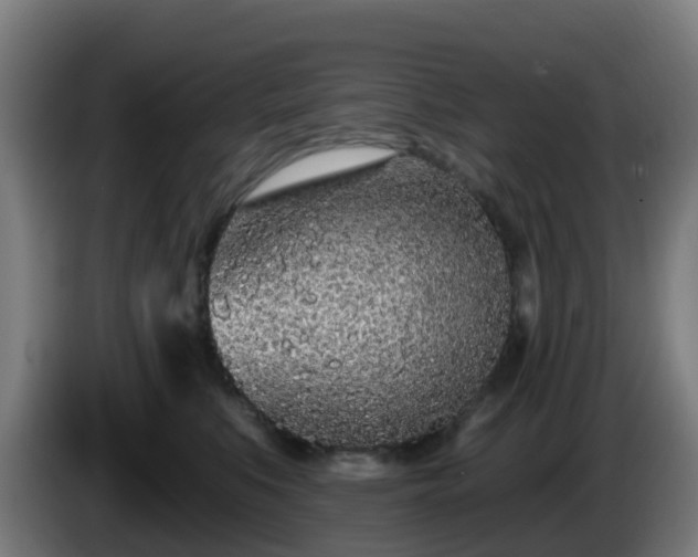 X0000086100519200703301217