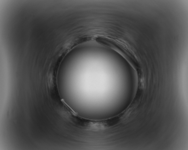 X0000086100520200703301217
