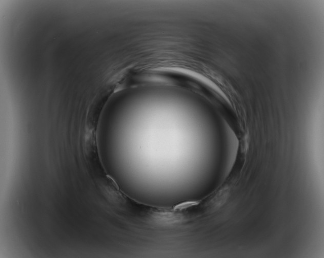 X0000086100521200703301217