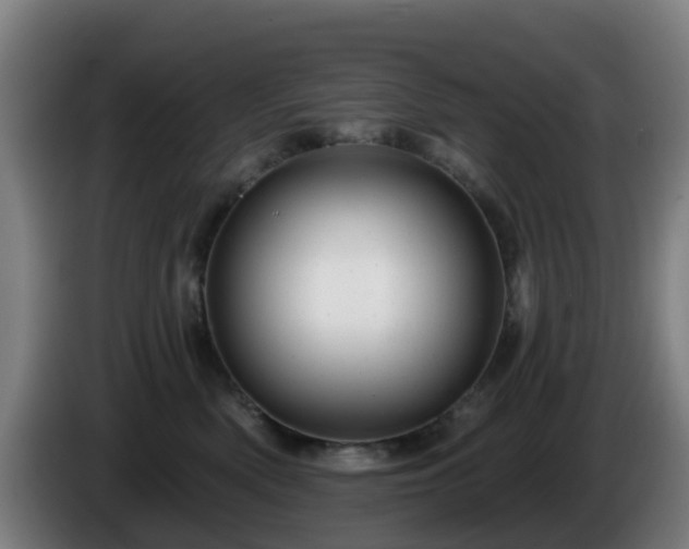 X0000086100522200703301217