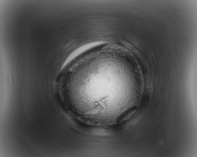 X0000086100523200703301217