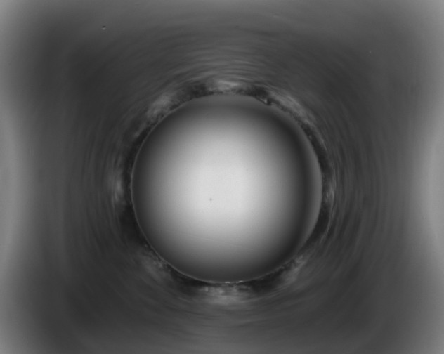 X0000086100524200703301217