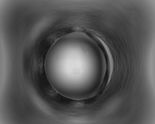 X0000086100525200703301217