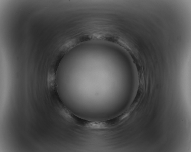 X0000086100526200703301217