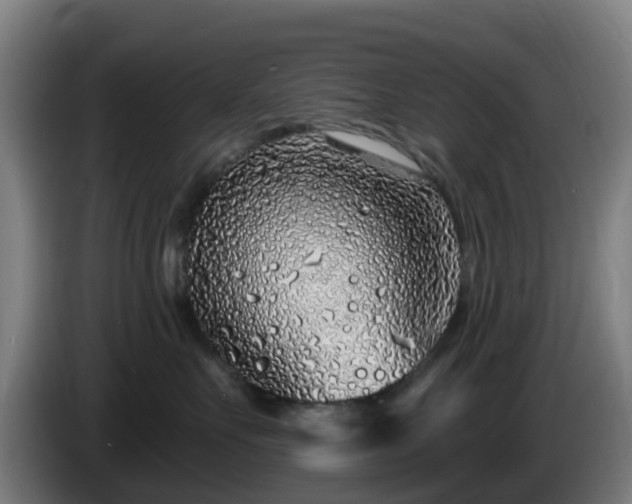 X0000086100527200703301217