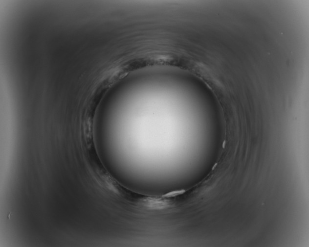 X0000086100528200703301217