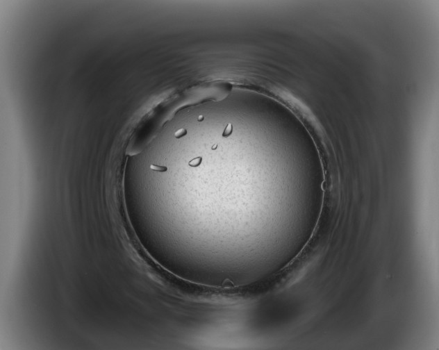 X0000086100529200703301217