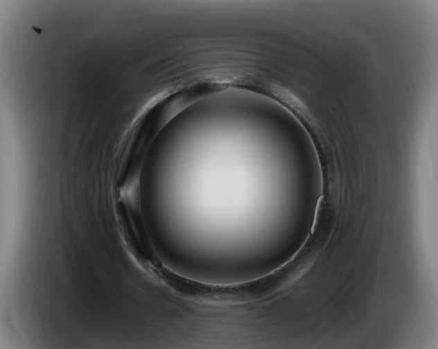 X0000086100530200703301217