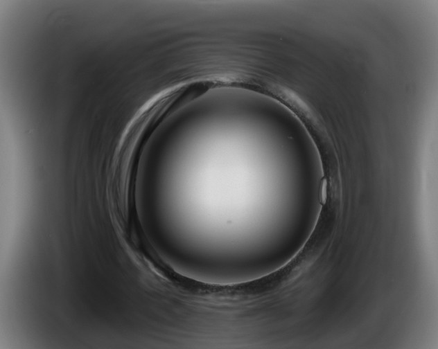 X0000086100532200703301217