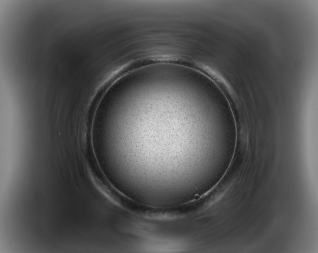 X0000086100533200703301217