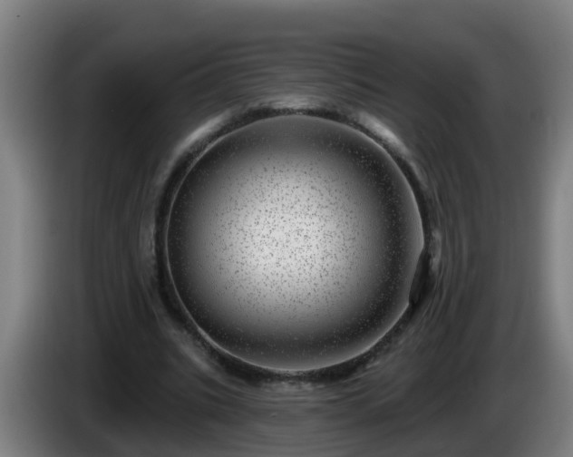X0000086100535200703301217