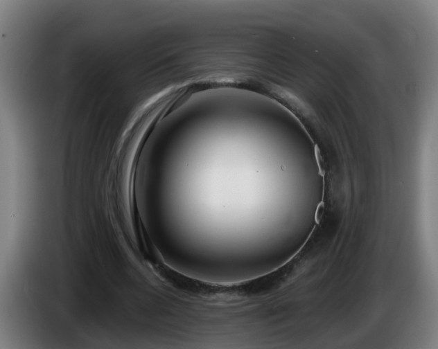 X0000086100536200703301217