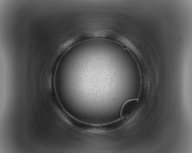 X0000086100537200703301217