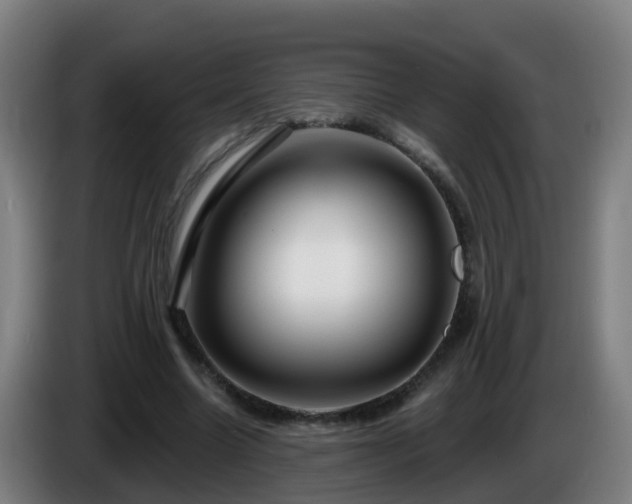 X0000086100538200703301217